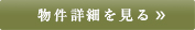詳細を見る