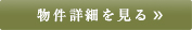 詳細を見る