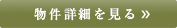 詳細を見る
